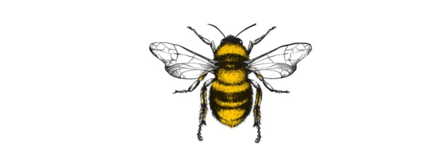 Honey Class - Year 1 Honey Class - Year 1