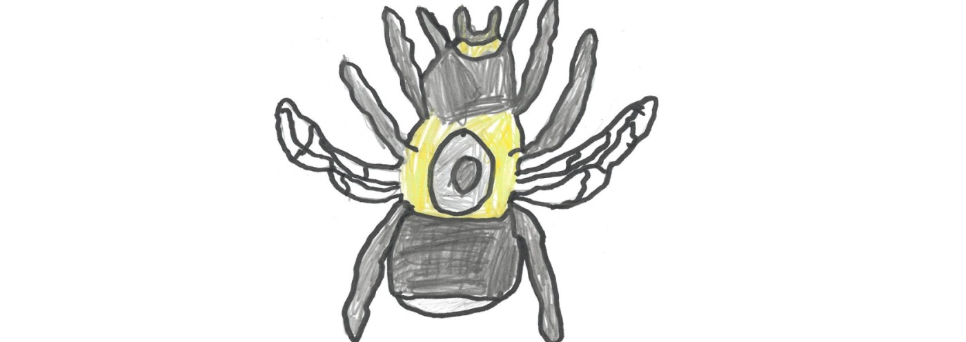 Carpenter Class - Year 4 Carpenter Class - Year 4